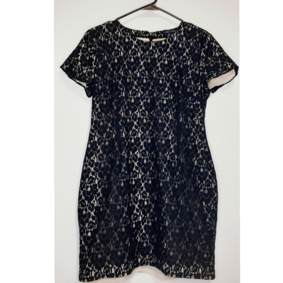 French Connection Women's Sheath Lace Mini-Dress - Picture 1 of 4